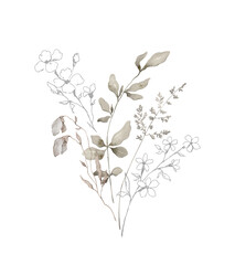 Watercolor bouquet with wild plants and flowers. Meadow dried wildflowers. Elegant ethereal nature, floral arrangement