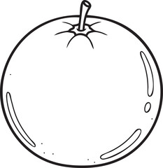 Silhouette of a Grapefruit in Natural Pose on White Background