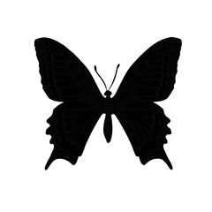 Black butterfly vector silhouette isolated on white background. Vector illustration of an insect for design elements and educational material. Drawing Machaon monochrome shape for sign or symbol.