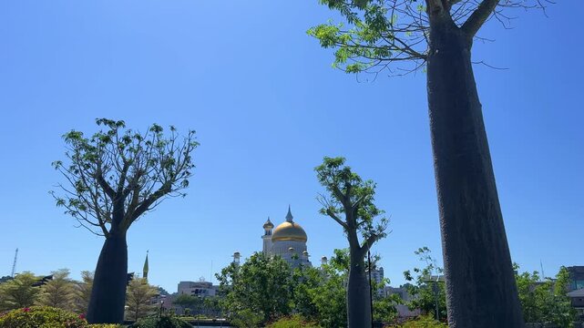 Brunei Darussalam - June 25, 2025: Sultan Omar Ali Saifuddin Mosque in Bandar Seri Begawan. Mosque with baobab trees in the foreground. Mosque facade and dome in sunlight. 4К