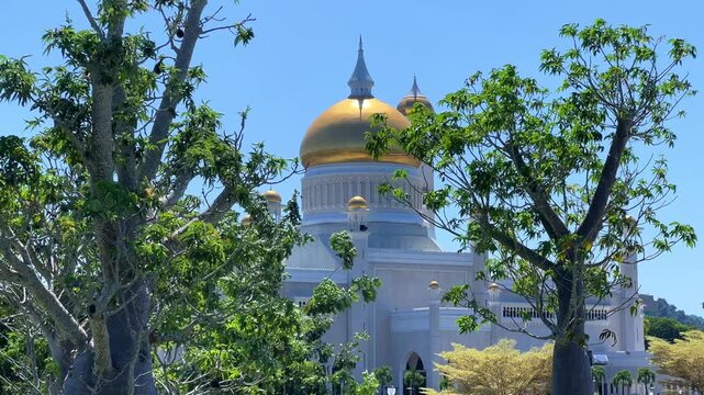 Brunei Darussalam - June 25, 2025: Sultan Omar Ali Saifuddin Mosque in Bandar Seri Begawan. Mosque with baobab trees in the foreground. Mosque facade and dome in sunlight. 4К