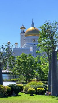 Brunei Darussalam - June 25, 2025: Sultan Omar Ali Saifuddin Mosque in Bandar Seri Begawan. Mosque with baobab trees in the foreground. Mosque facade and dome in sunlight. 4К