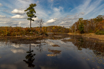 Landscape along the Sussex Branch Trail in Kittatinny Valley State Park, NJ
