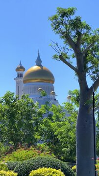 Brunei Darussalam - June 25, 2025: Sultan Omar Ali Saifuddin Mosque in Bandar Seri Begawan. Mosque with baobab trees in the foreground. Mosque facade and dome in sunlight. 4К