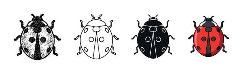 Obraz premium Set of four ladybug illustrations in different graphic styles including sketch, outline, silhouette, and full color cartoon design, viewed from top down