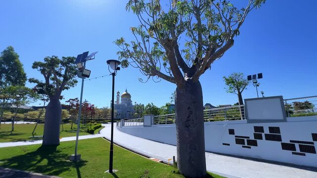 Brunei Darussalam - June 25, 2025: Sultan Omar Ali Saifuddin Mosque in Bandar Seri Begawan. Mosque with baobab trees in the foreground. Mosque facade and dome in sunlight. 4К