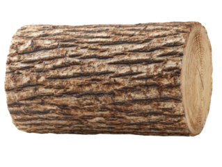 Timber Textures: A close-up view of a textured log, highlighting the intricate patterns and natural beauty of wood, showcasing the raw, organic element of nature.