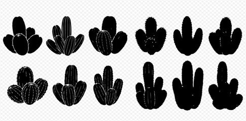 Silhouette of various cactus plants in a row on a transparent background.