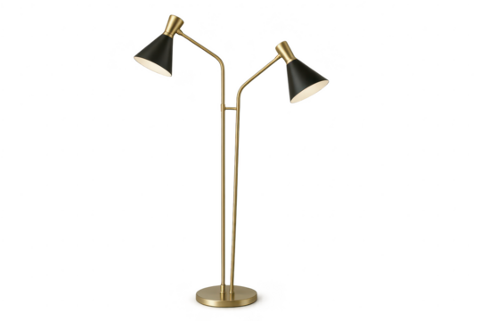 Contemporary black and gold floor lamp, isolated on transparent background.