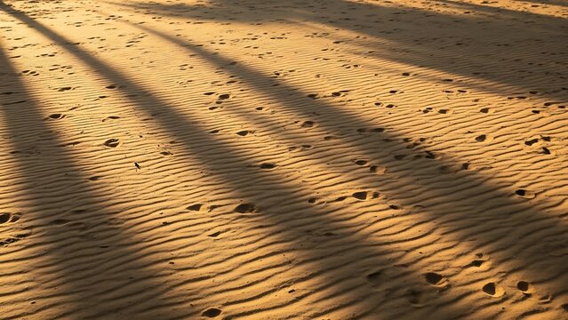 Golden Hour Sunlight Casting Long Shadows and Footprints on Rippled Sandy Beach sand texture ripples - Powered by Adobe