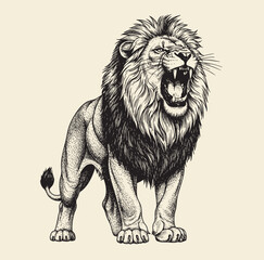 Vintage engraving isolated lion king set illustration ink sketch. Africa wild cat background animal silhouette art. Black and white hand drawn image