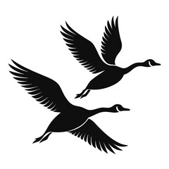 Two canada geese flying in formation silhouette