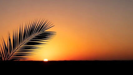 Palm Frond Silhouette Over a Tropical Sunset with the Sun on the Horizon Keywords: palm frond, silhouette, sunset, sun, horizon, tropical, beach, ocean, sky, twilight, dusk, orange, yellow, dark