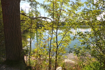 View of the surface of Strbske pleso, High Tatras, Slovakia.