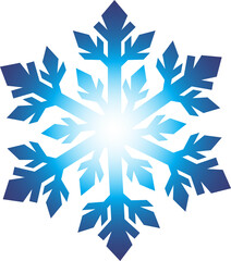 snowflake vector illustration