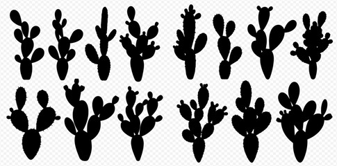 Silhouetted cacti plants in a row, various shapes and sizes.