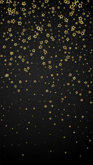 Christmas spirit. Scattered falling stars.