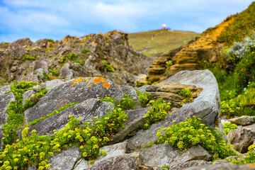 Hiking through rocky terrain in Cornwall