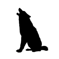 howling wolf - vector illustration
