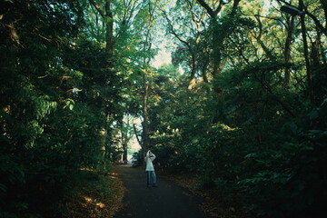 Fototapeta premium The girl blends into the park’s soft atmosphere as sunlight passes through the treetops.