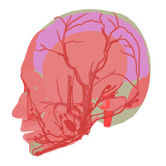 Human brain anatomy with detailed cerebral cortex, neural pathways, and cerebellum visible. The head is dissected to show internal structures and surrounding muscles.