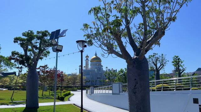 Brunei Darussalam - June 25, 2025: Sultan Omar Ali Saifuddin Mosque in Bandar Seri Begawan. Mosque with baobab trees in the foreground. Mosque facade and dome in sunlight. 4К