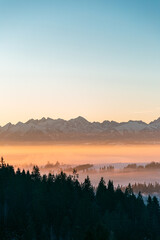 serene sunrise over snow-capped Tatras mountain range beyond a misty forest valley at golden horizon