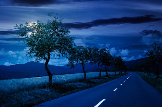 trees along the country road in to mountains at night. beautiful summer landscape with epic clouds in full moon light. motion blur effect. backdrop for fiction art or mystery concepts