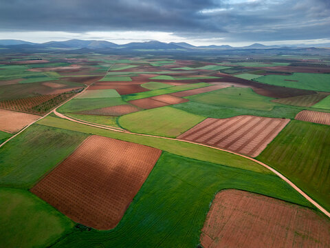 Aerial view o small fields by Consuegra, central Spain. Agricultural patchwork with various crops and olive orchards.
