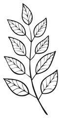 Simple black and white line art illustration of a leafy branch with organic hand drawn style