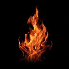 Dynamic Fire Flames on Black Background