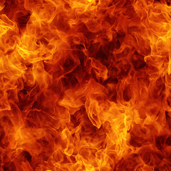 Dynamic Fire Flames on Black Background