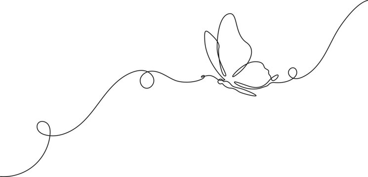 continuous single line drawing of a butterfly, line art vector illustration