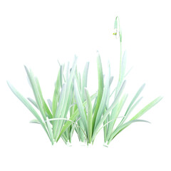 3d illustration of Snowdrop tree isolated on transparent background