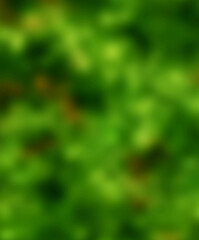 Christmas card, blurred trendy background, Winter Wallpaper