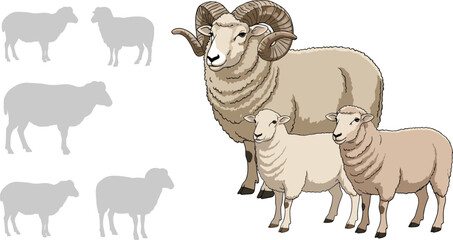 Cartoon Sheep Family Illustration with Ram Ewe and Lamb Farm Animal Breeds Flat Vector Isolated on White Background