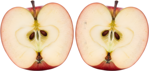 Two halves of red apple showing core and seeds isolated on white background perfect for education materials school lunch ideas and autumn harvest fruit pie recipe illustrations.