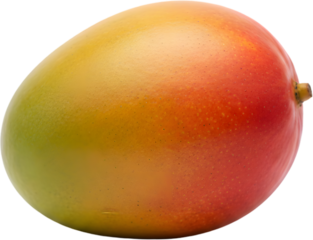 Whole fresh mango fruit with red and green skin gradient isolated on white background ideal for tropical smoothie branding and exotic dessert menu visuals.