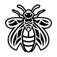 Glyph Style Firefly Symbols 
