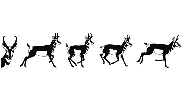 Pronghorn antelope running illustration wildlife black and white