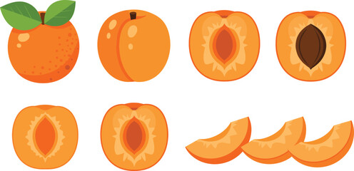 Cartoon Apricot Fruit Collection with Whole Halves and Sliced Pieces Colorful Flat Vector Illustration Set