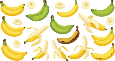 Cartoon Banana Variety Set with Ripe, Unripe, Peeled and Sliced Bananas Colorful Flat Vector Illustration