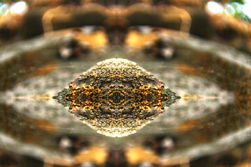 Cinematic Organic Geometry: Symmetrical Nature Abstract Backdrop (For high-end websites, advertising campaigns, digital art, wellness marketing).