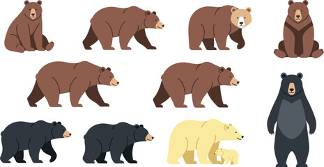 Cartoon Bear Species Collection with Brown Black and Polar Bears Wild Animal Flat Vector Illustration Set