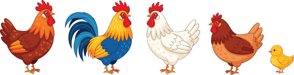 Cartoon Farm Chicken Characters with Rooster, Hens, and Chick Colorful Flat Vector Illustration Isolated on White Background