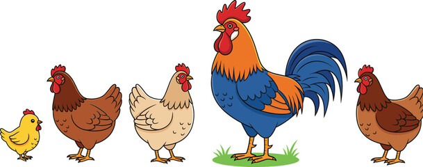 Cartoon Farm Rooster and Hen Set with Chick Colorful Flat Vector Illustration Isolated on White Background
