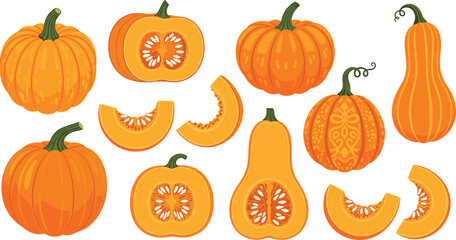 Cartoon Pumpkin and Squash Collection with Whole Halved and Sliced Vegetables Autumn Harvest Colorful Flat Vector Illustration Set