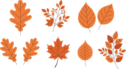 Beautiful Autumn Leaf Vector Illustration Collection Featuring Oak and Maple Leaves, Berries, and Branches in Warm Fall Colors for Seasonal Design.