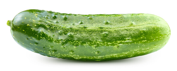 Fresh cucumber isolated on transparent. Cucumber PNG
