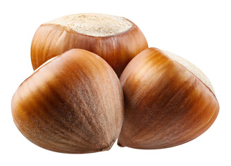 Three hazelnut with PNG. Hazelnuts isolated on a transparent background. Hazelnut full macro photo